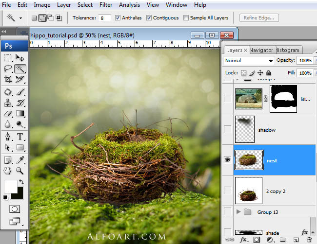 hippo, photoshop, nest, egg, shell, flying hippo, cute, baby, wings, hippopotamus, feathers